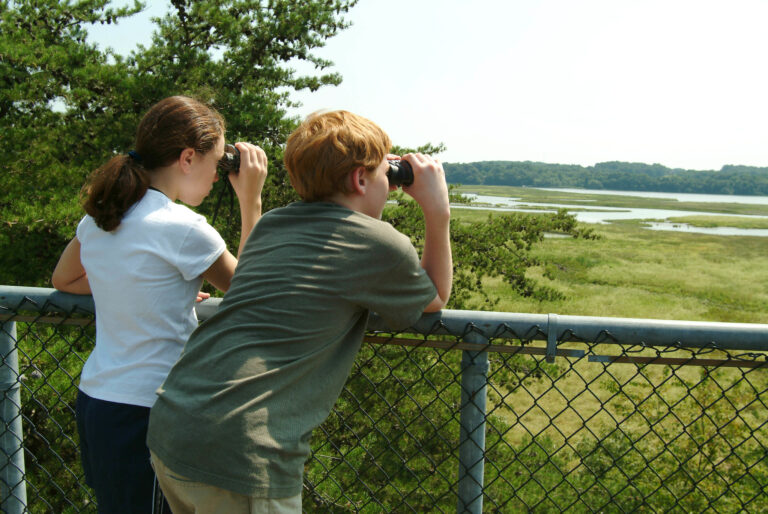 A boy and a girl rest their elbows on the top of a chain-link fence, using binoculars to look out across a marshy wetland area with a body of water in the distance.