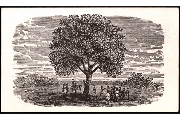 A black and white drawing of a few people circled around a big tree.