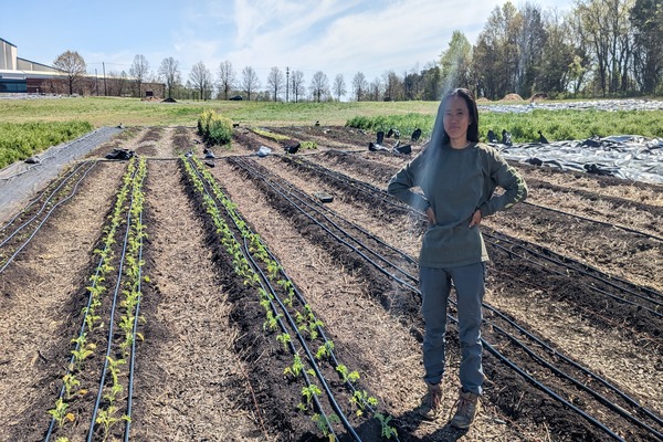 A woman on a farm standing in a field of crops.