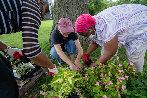 Three women tending to a garden.