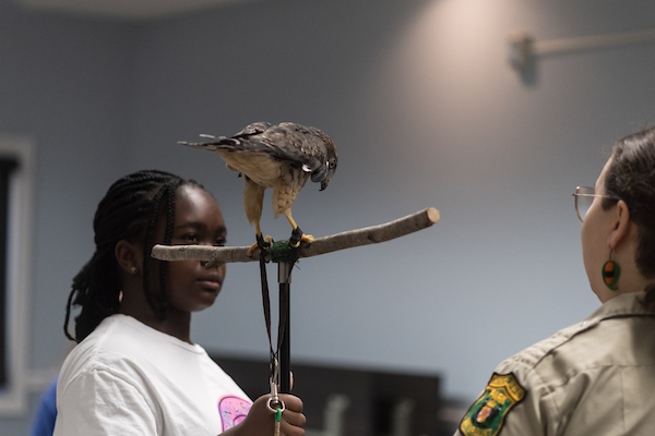 Young woman holding a stick with a bird perched on top