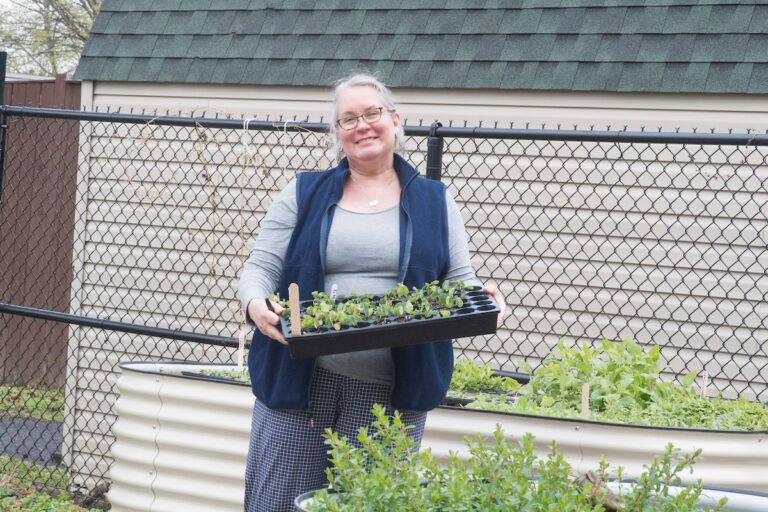 A smiling person stands near raised garden beds holding a tray of plant seedlings.